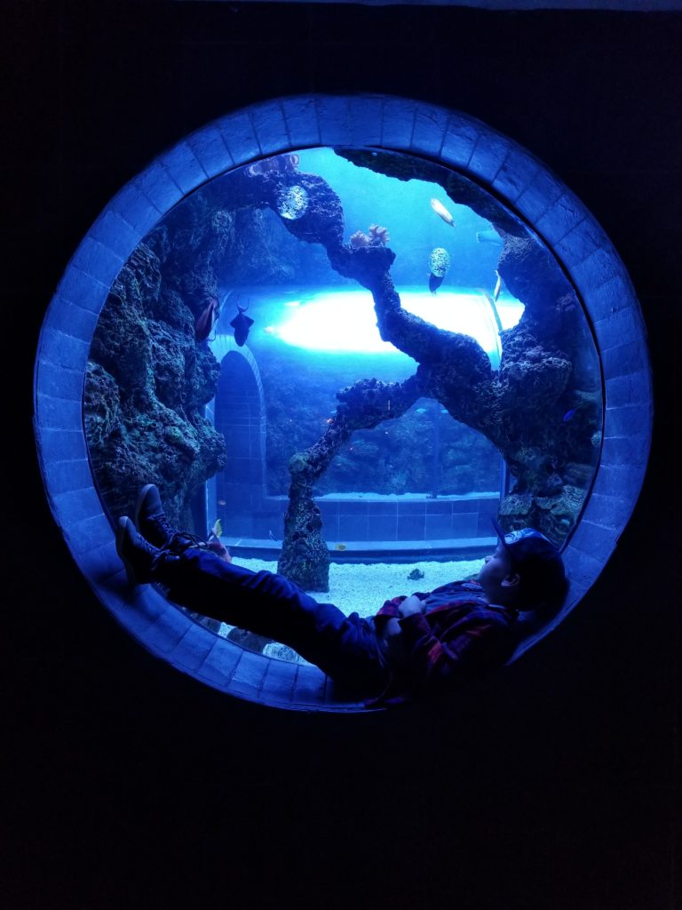Dallas World Aquarium photography