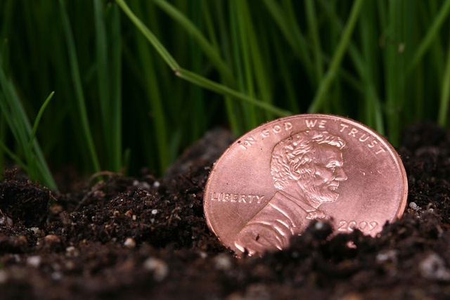 Be the Penny, Penny in the grass